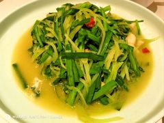 -世纪缘国际会议中心·中餐厅(百家湖店)