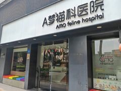 -御宝贝·A梦猫科宠物医院(国际猫友好医院)