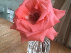 -Mark&Mars Restaurant