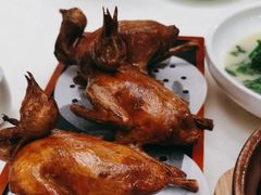 -五谷芳乳鸽王(海景店)