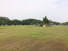 金陵饭店-南京金陵饭店