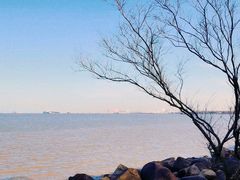 -上海吴淞炮台湾国家湿地公园