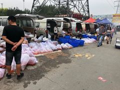 -中环花鸟鱼虫市场