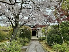 -天龙寺