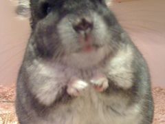 -龙猫仔乐园(惠福东路店)