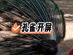 -昆明动物园