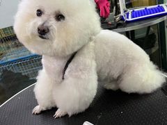 -美联众合动物医院(唯恩分院)