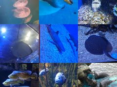 -华夏文旅西安度假区