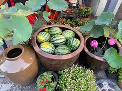 -赵美丽·重庆社区火锅·直营店(火车东站·中豪国际店)