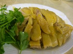 湛江鸡-瑞记湛江鸡饭店·粤西第一鸡(粤垦店)