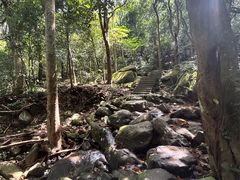 -梧桐山风景名胜区