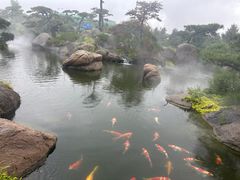 -罗红摄影艺术馆