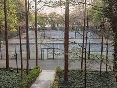 -之江大学-旧址
