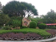 景点-滴水岩森林公园