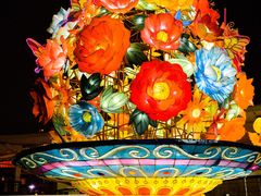 -锦江乐园舞狸花花游园会(夜场专享)