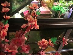 -胡桃里音乐酒馆(大沥店)