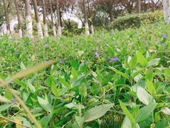 -白塘生态植物园