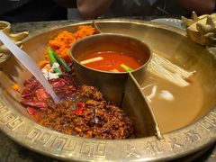 -大龙燚火锅(悉尼店)