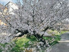 -好利来(旅顺世达店)