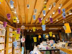 -猫的天空之城概念书店(丽江古城饮玉巷店)