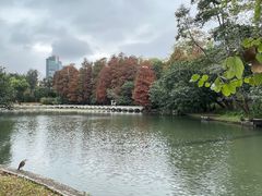 -荔枝公园(福田区)