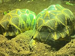 -济南野生动物世界