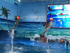 -多彩贵州城极地海洋世界