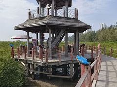 -北海金海湾红树林生态旅游区