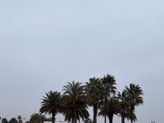 -柳湖沙月沙滩公园