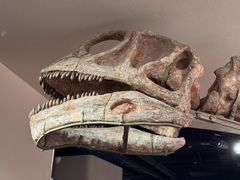 -自贡恐龙博物馆