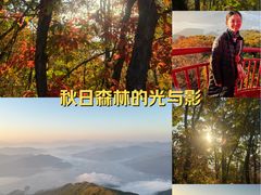 -吉林市朱雀山国家森林公园