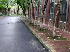 -广州天省实验学校