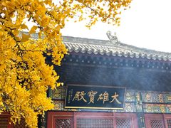 -红螺寺