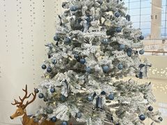 -世纪星滑冰俱乐部(万象城店)