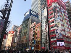 -秋叶原电器街