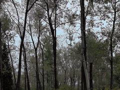 -秦皇岛野生动物园