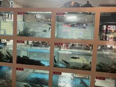 -石锅苗苗鱼(武汉首店)