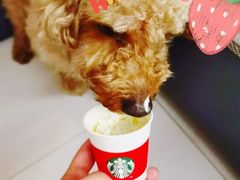 -星巴克(天津鲁能中心第三店)