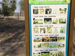 -西青郊野公园