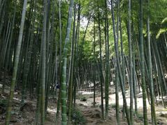 -浙北大厦购物中心(安吉店)