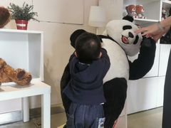 -成都泰迪熊博物馆