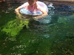 -青水瓦台汤泉(未央店)