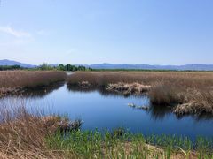 -野鸭湖国家湿地公园