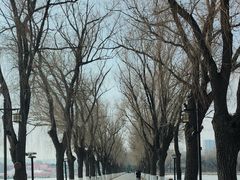 -北陵公园