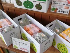 -富田农场