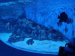 -海合安成都极地海洋公园
