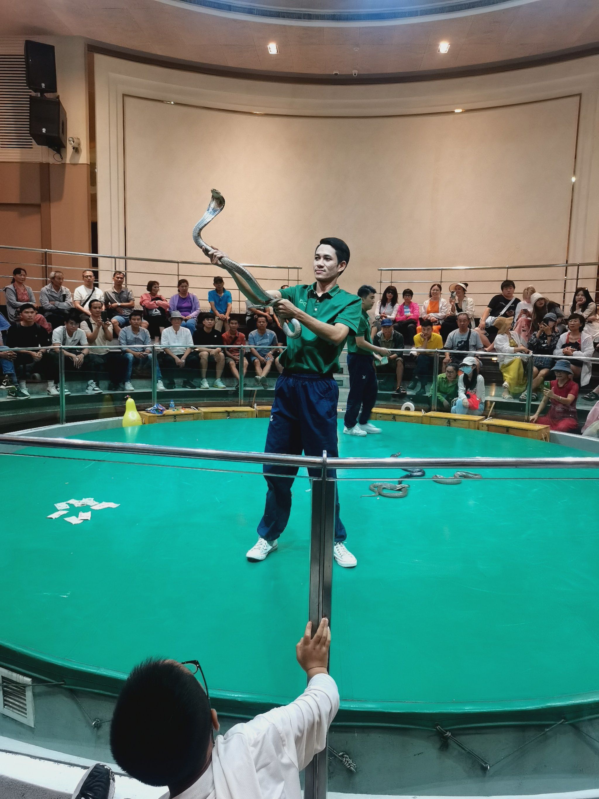 毒蛇表演