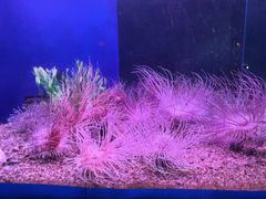 -蓬莱欧乐堡海洋极地世界