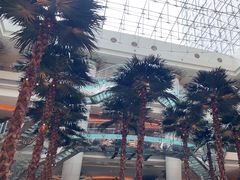 -威斯汀舞台餐厅