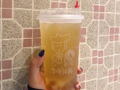 冻顶冰晶蜜桃乌龙茶-华辉拉肠(宝华店)